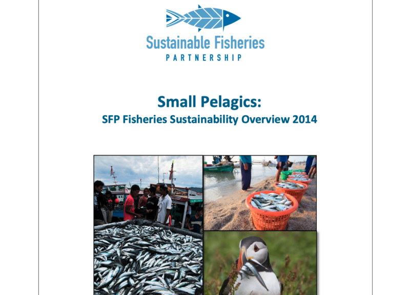 Resumen de la sostenibilidad de la pesca en 2014